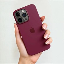 ProNorth Iphone 15 PRO Uyumlu Kılıf Logolu Lansman Soft Yumuşak Içi Kadife Silikon Kapak