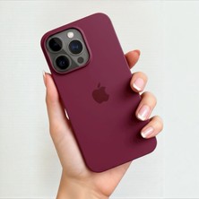 ProNorth Iphone 16 PRO Uyumlu Kılıf Logolu Lansman Soft Yumuşak Içi Kadife Silikon Kapak