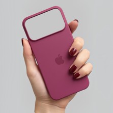 Pronorth IPhone 17 PRO MAX Uyumlu Kılıf Logolu Lansman Soft Yumuşak Içi Kadife Silikon Kapak