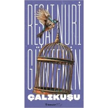 Blueb Çalıkuşu (Yeni Kapak)