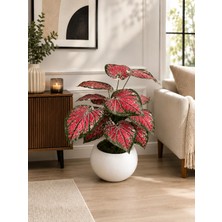 Gülümseten Avm Yapay Kaladyum Çiçeği Beyaz Saksılı Dekoratif Salon Bitkisi Kırmızı Yapraklı 65 cm - Yeşil- Yeşil