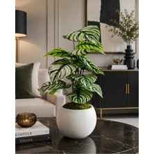 Gülümseten Avm Yapay Dua Calathea Dekoratif Salon Çiçeği Beyaz Saksılı Lüks Masa Üstü Bitki 65 cm - Yeşil- Yeşil