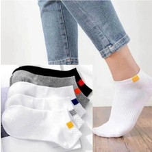 UZN Socks 5’li Unisex Patik Çorap Pamuklu Günlük Spor Çorap Seti