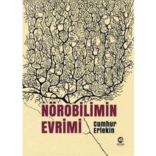 Fantastik Store Nörobilimin Evrimi