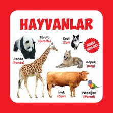 Fantastik Store Hayvanlar Türkçe-Ingilizce