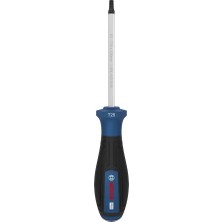 Bosch Pro TX25X100 mm Torx Tornavida V2 1600A039SC
