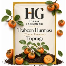 Hg Trabzon Hurması (Cennet Hurması) Toprağı