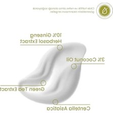 Die Grup Yenileyici Ginseng Içeren Cilt Maskesi - 50ML