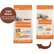 Die Grup Tahılsız Somon Balıklı Mini Yetişkin Köpek Maması (1,5 Kg)