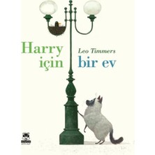 Cancup Karton Bardak Harry Için Bir Ev