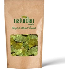 Naturdan Ayva Yaprağı 500 gr