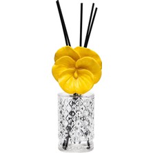Missi Parlak Sırlı Taş Orkide Işıltısı Çubuklu Oda Kokusu 360 Ml-Yasemin Sandal