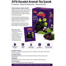 Bezos 24’lü Karadut Aromalı Toz Içecek Vitamin C Içerikli Pratik Tek Kullanımlık Soğuk Içecek Tozu