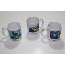 Fredeom Store Yöresel Kupa Bardak 9ALY477