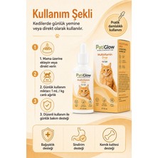 Pati Glow Kediler Için Premium Multivitamin Damla Doğal Içerikli 50 ml