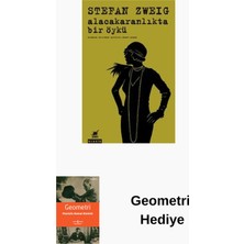 Ayrıntı Yayınları Alacakaranlıkta Bir Öykü + Geometri Hediye