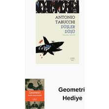 Everest Yayınları Düşler Düşü + Geometri Hediye