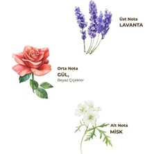 Nessi World Kolonya Pet Şişe Sprey 150 ml Lavanta
