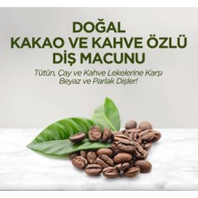 Nessi World Doğal Diş Macunu 90 gr Kakao & Kahve Özlü