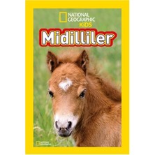Beta Kids National Geographic Kids Midilliler Eğitici Kitap 24 Sayfa Laura Marsh Okul Öncesi Yaş Aralığı