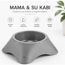 Poliwork Kedi ve Köpek Mama Kabı 300 ml Plastik Mama ve Su Kabı Tekli Mama Kabı Bpa Içermez