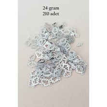 Herşey Trend Herşeytrend Oya Abiye Bileklik Kolye Pleksi Metalik Plastik Pul Gümüş Renk 24 Gram 210 Adet - BNC573