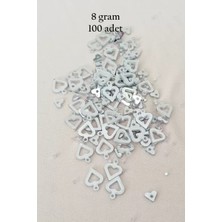 Herşey Trend Herşeytrend Oya Abiye Bileklik Kolye Pleksi Metalik Plastik Pul Gümüş Renk 8 Gram 100 Adet - BNC511