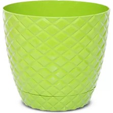Herşey Trend Herşeytrend Karasu Kesme Saksı 0.75 Lt ROYALEKS-KRS-201