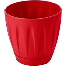 Herşey Trend Herşeytrend Papatya Saksı 3 Litre ROYALEKS-P003