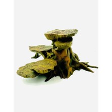 3 Boyut Endüstriyel 18 x 7,5 cm Sürüngen ve Kemirgenler Için Teraryum Dekor %100 El Boyaması