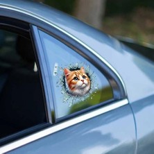 Herşey Trend Herşeytrend Fulcar Sarman Araç Stickerı