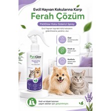 Pati Glow Kedi Köpekler Için Kedi Kumu Koku Giderici Sprey