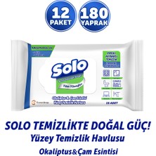 Solo Doğal Güç Okaliptus&Çam Esintisi Seyahat Boy Yüzey Temizlik Havlusu 12'li 180 Yaprak