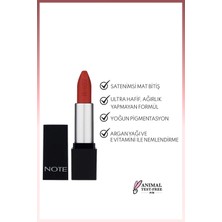 Bezos Ruj & Mattever Lipstick Yari Mat Saten Bitişli No: 17 Dress Red Kizil Kahverengi