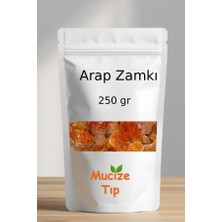 Mucize Tıp Arap Zamkı - Akasya Gamı 250 gr