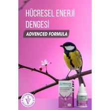 Mixtura Pharma Bird Ornıkarnıtın