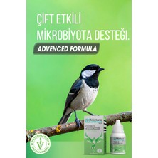 Mixtura Pharma Bird Probıo