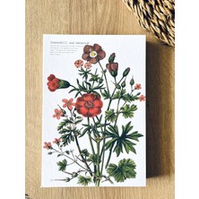 Defter A5 Yeşil