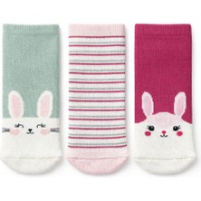 Solde Socks 3'lü Hayvan Figürlü Bebek Çorap Seti– Sevimli ve Yumuşak Tasarım / Son Adetler