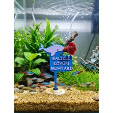 Cncman 3D BALİNA FİGÜR TABELA -YAZI