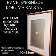 My MSL Radyasyon Önleyici  Anti Emf  Test Onaylı Tesciilli Tablo