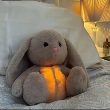 Empressco Nefes Alan Tavşan Peluş Oyuncak Işıklı Müzikli Uyku Arkadaşı Rahatlatıcı - Fiyatı, Yorumları