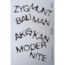 Alkar Ticaret Akışkan Modernite