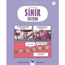 Alkar Ticaret Temel Kavramlarla Sinir Sistemi