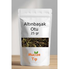 Mucize Tıp Altınbaşak Otu Kurusu Dökme 25 gr