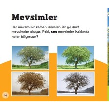 Ergün Collection Doğru Mu? Yanlış Mı? - Mevsimler
