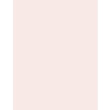 Ergün Collection Göz Kalemi- Ultra Eyeliner Nude 8690604254545 47000011-017 One Size