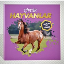 Ergün Collection Çiftlik Hayvanları - Dokun ve Hisset