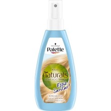 Kalıcı Doğal Renkler Renk Açıcı Sprey Saç Boyası