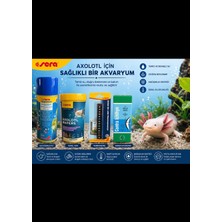 Sera Axolotl Yaşam Seti
